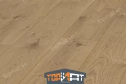 Sàn gỗ Kronotex Mammut D4152