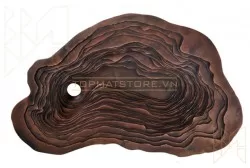 Chậu rửa bằng đồng BS005