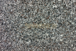 Đá granite tím Khánh Hòa mặt mài 30x60x2cm
