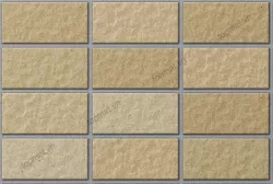 Gạch INAX-255/VIZ-5