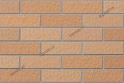 Gạch INAX-355/VIZ-10N