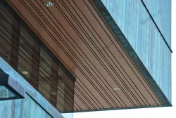 Trần nhôm Basi B Shaped  copy