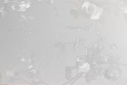 Tấm nhựa PVC Nano 02H-1