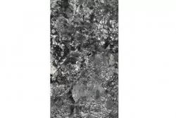 Gạch khổ lớn Monalisa FMX10805PM