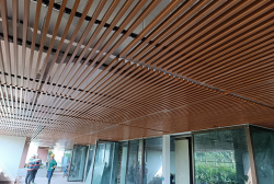 Trần nhôm giả gỗ Austrong U50-Shaped-100 copy