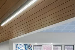 Trần sọc G200 dày 0.6mm Austrong màu vân gỗ