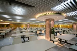 Trần nhôm Austrong sọc V-Screen dày 0.8mm vân gỗ