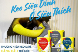 Bảng giá keo dán gạch Weber hôm nay: Báo giá đầy đủ các loại