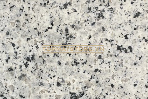Đá granite trắng Phan Rang mài 30x60x2cm