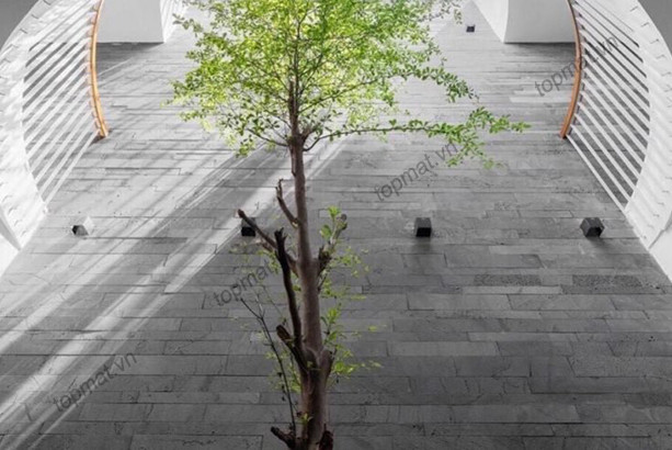 Đá ong xám ốp tường 