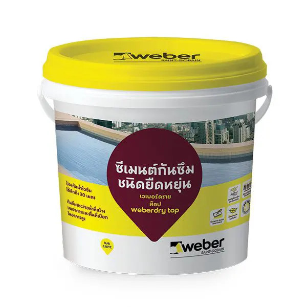 Vữa chống thấm Weber.dry TOP