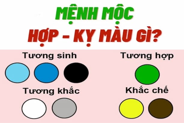 Những màu sắc giúp gia chủ mệnh Mộc vượng khí